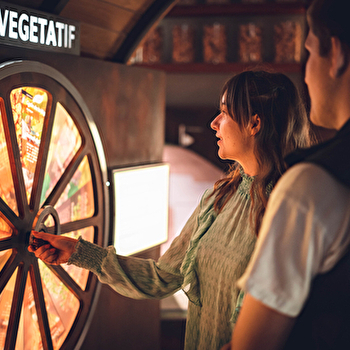 Dégustation - Formule duo - TOURNUS