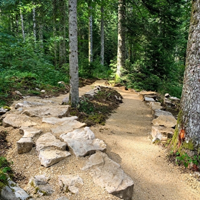 Pumptrack - Singletrack